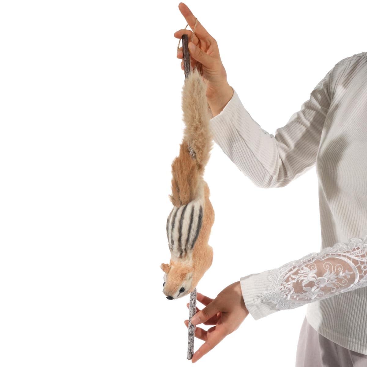 ぶらさがりリス