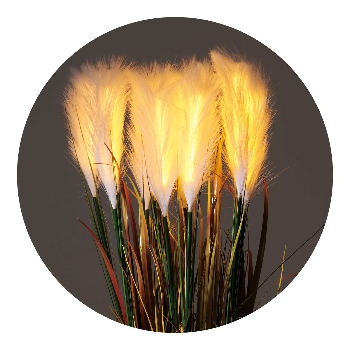 LEDパンパスグラス 高さ12cm