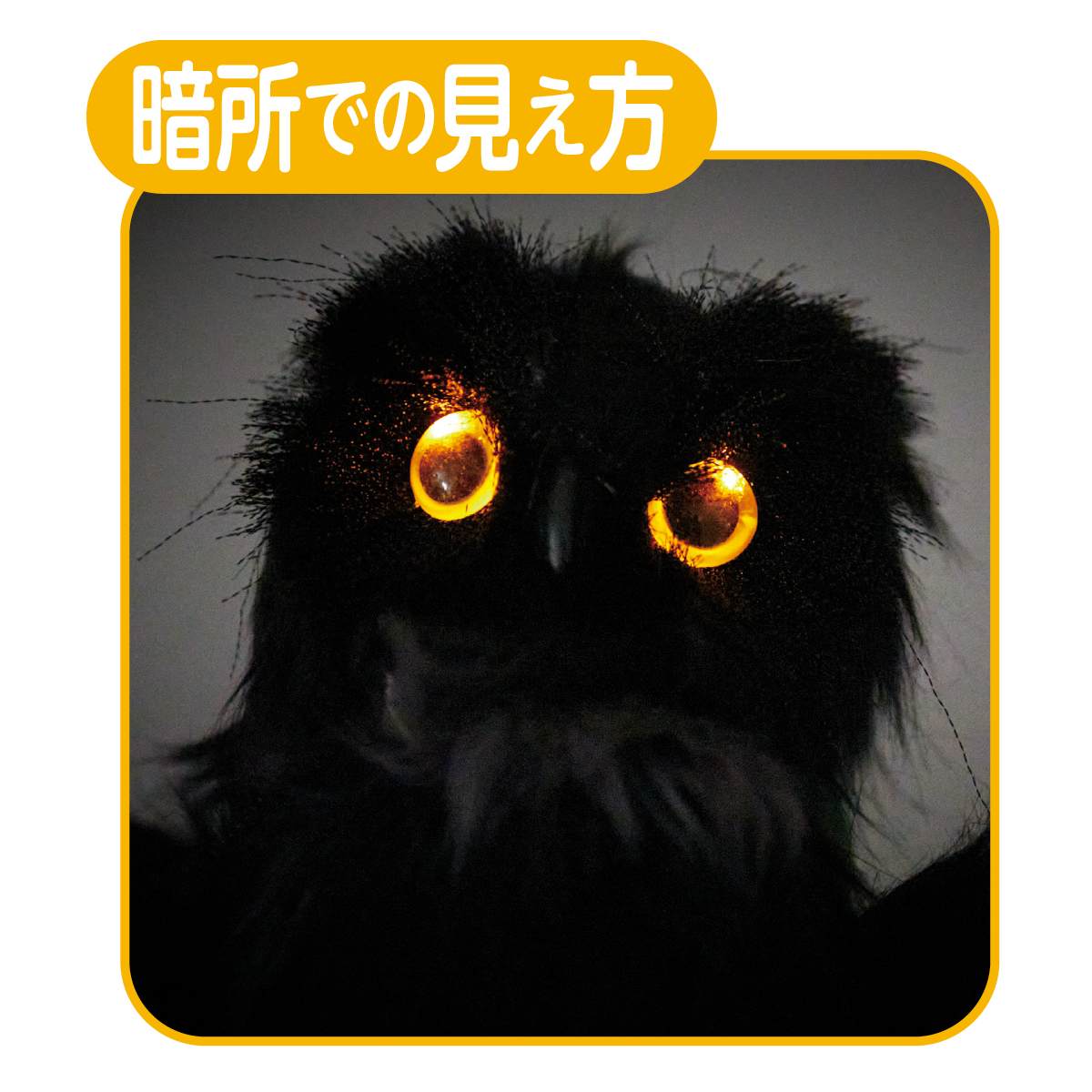 暗所での見え方