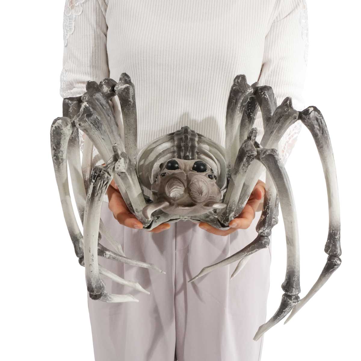 ジャイアントボーンスパイダー幅81cm
