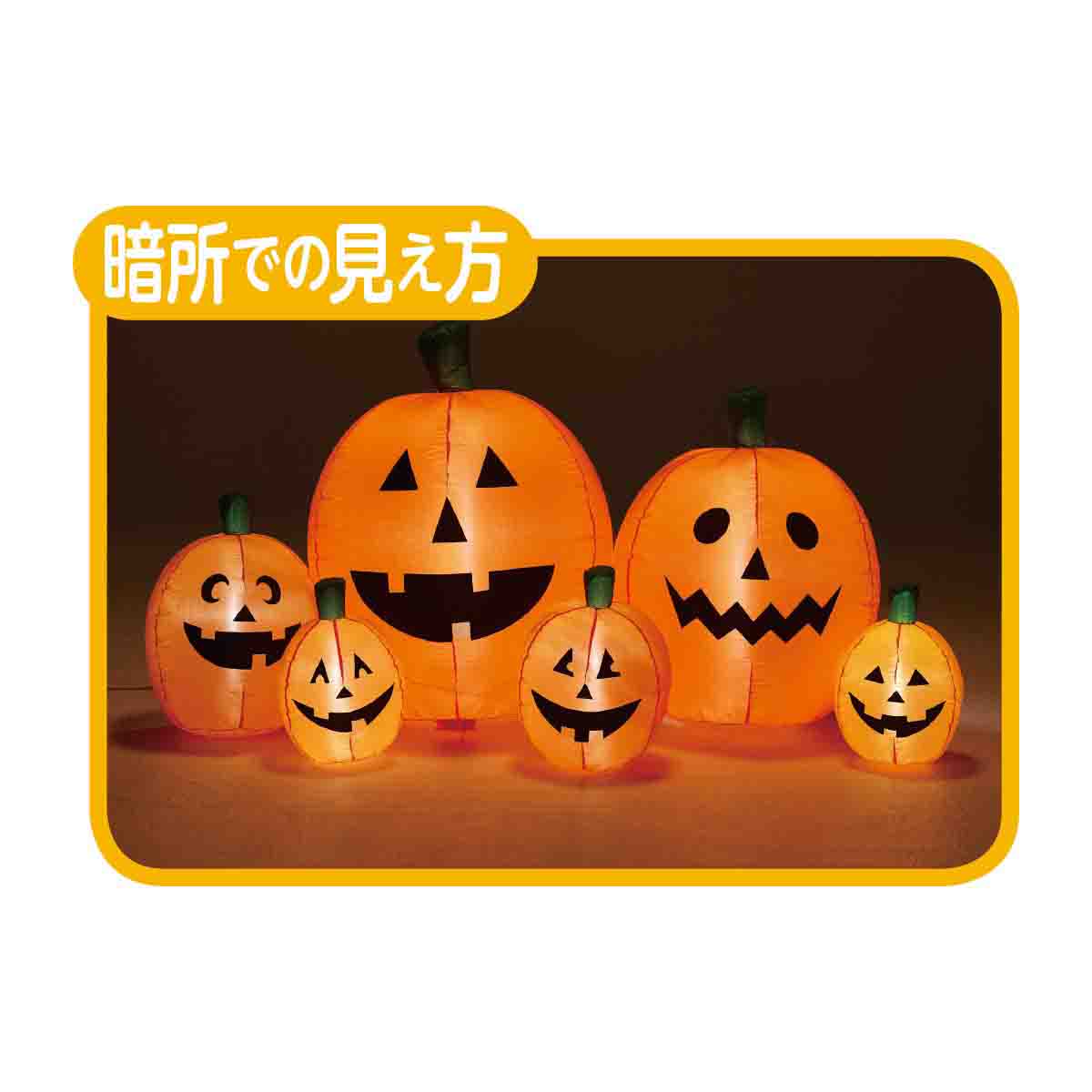 暗所での見え方