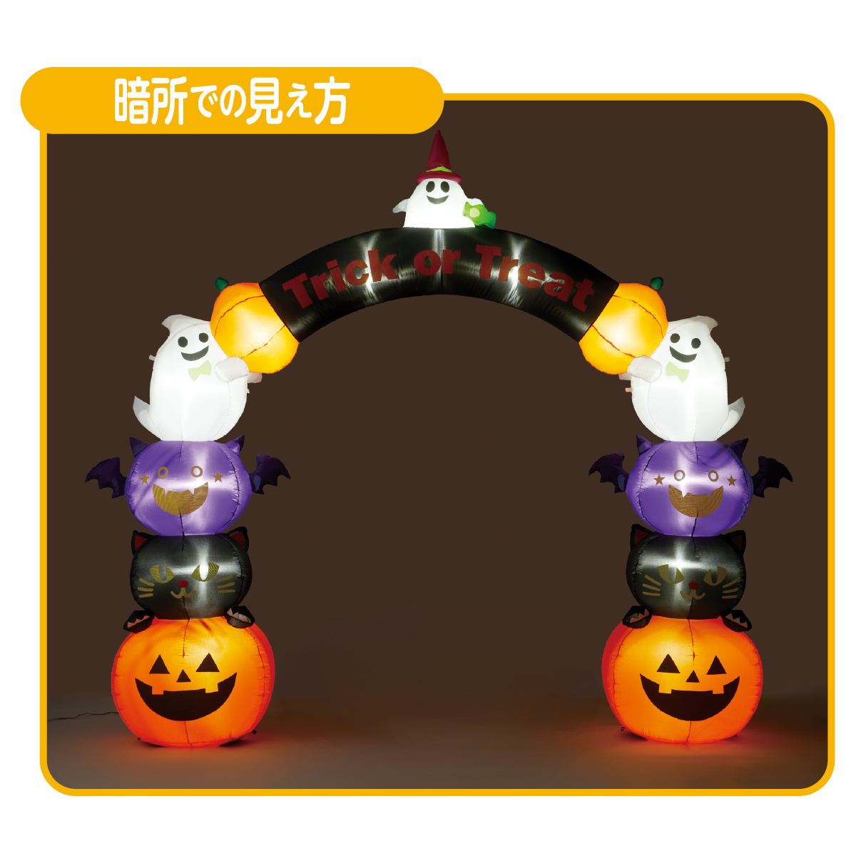 暗所での見え方