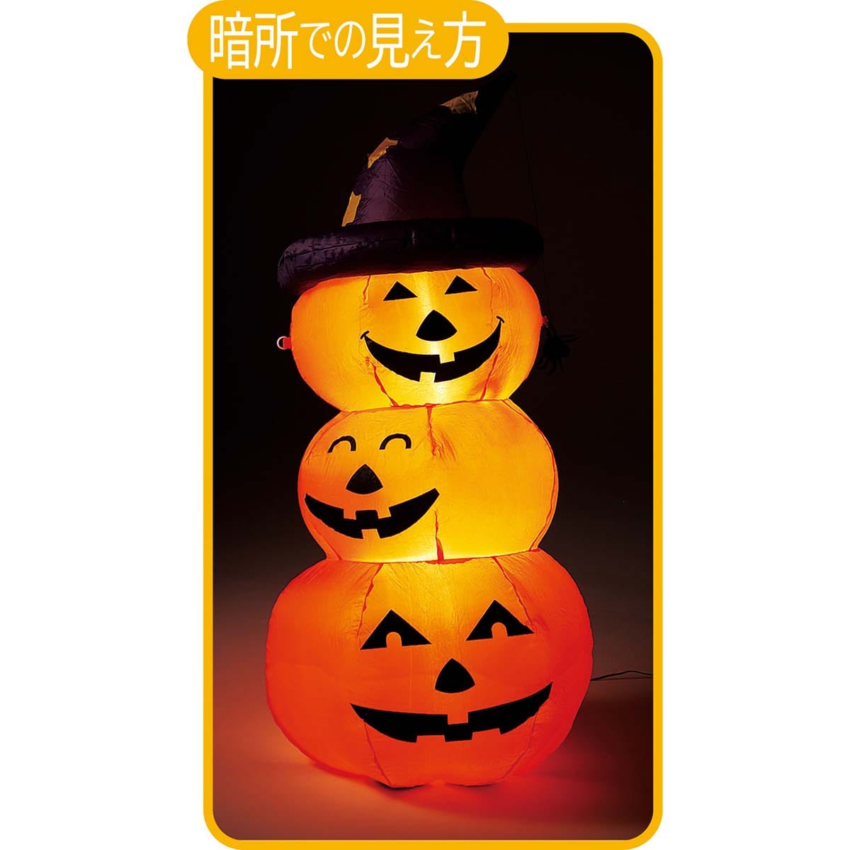 (1)暗所での見え方