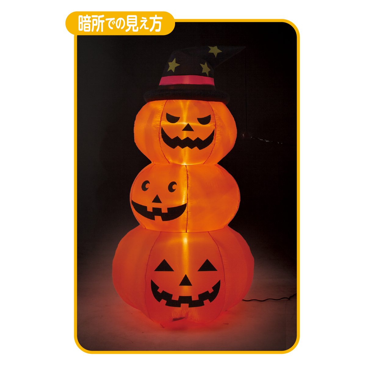 (2)暗所での見え方