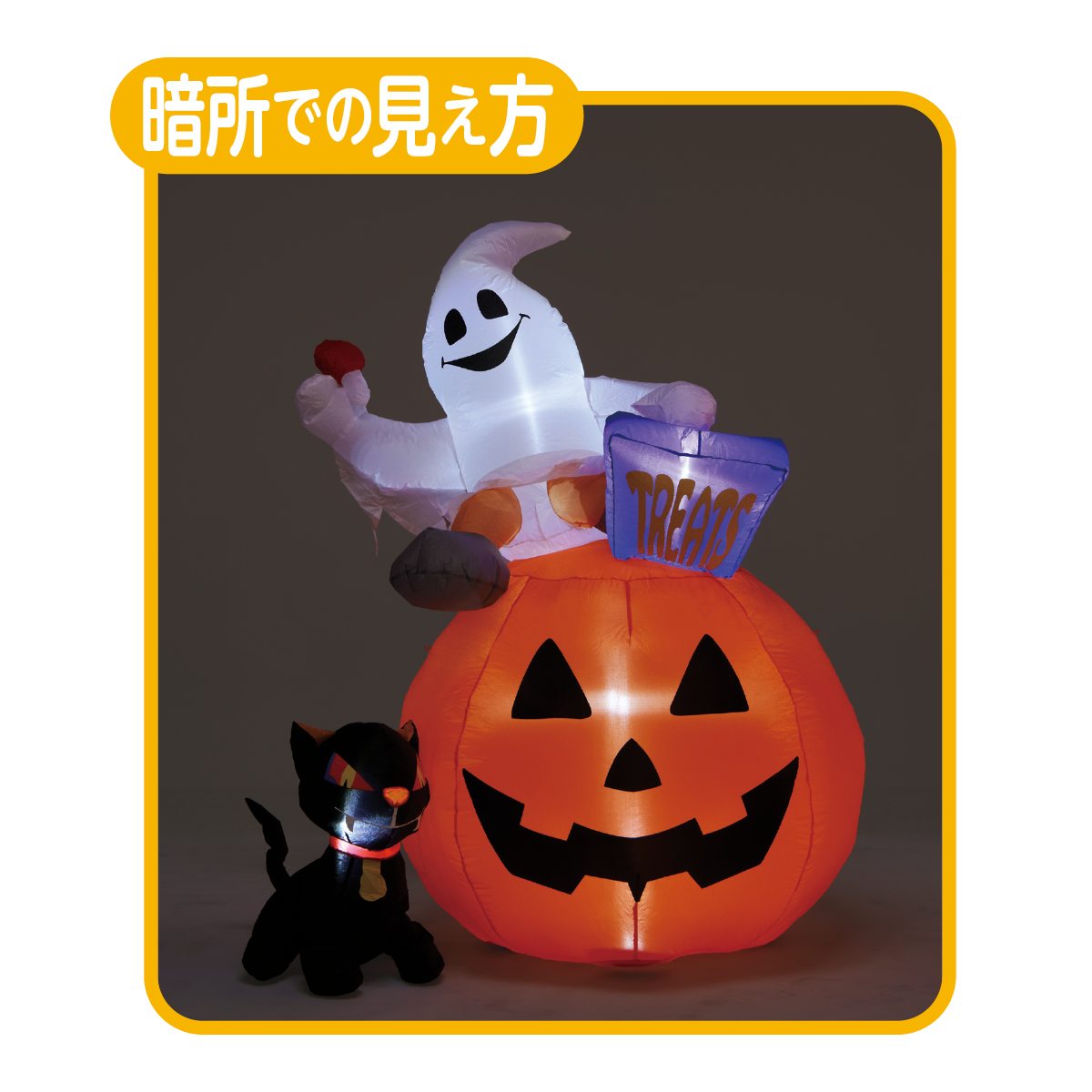 暗所での見え方