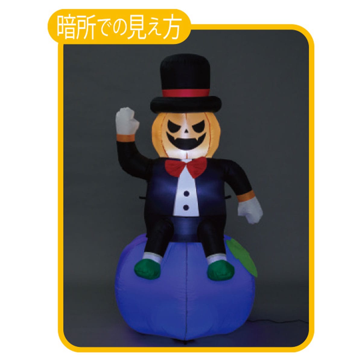 暗所での見え方