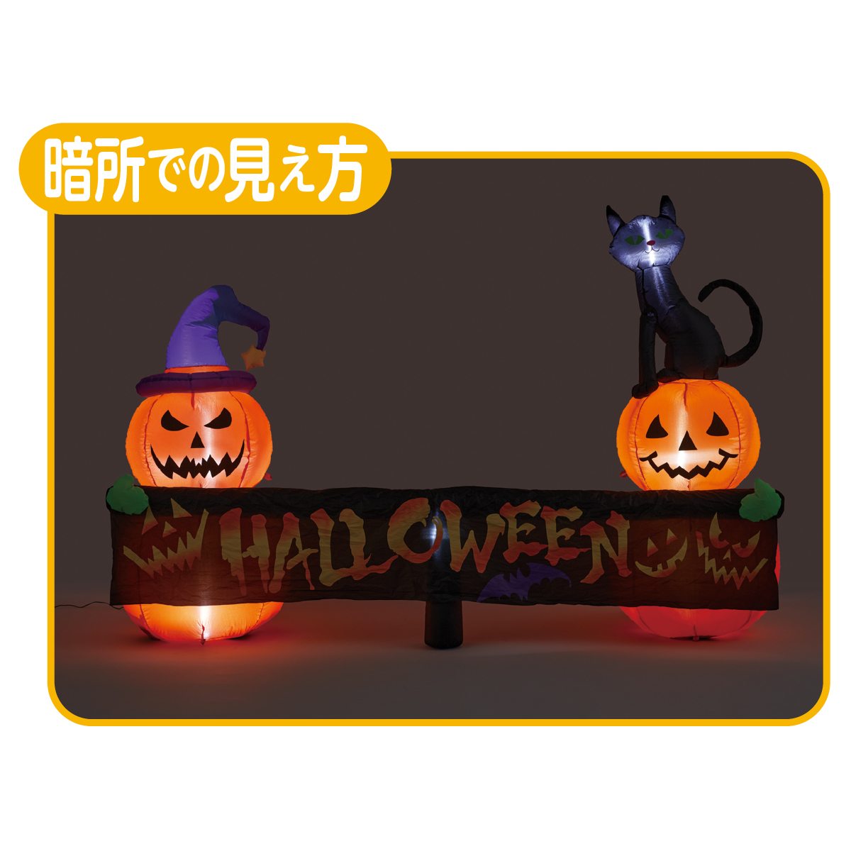 暗所での見え方