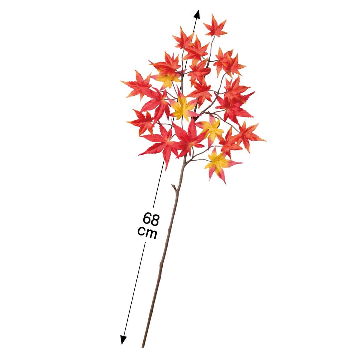 (2)レッドオレンジ