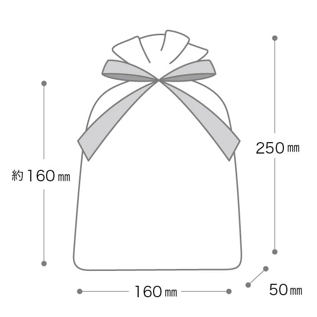 (1)幅16×高さ25[17]×底マチ5cm