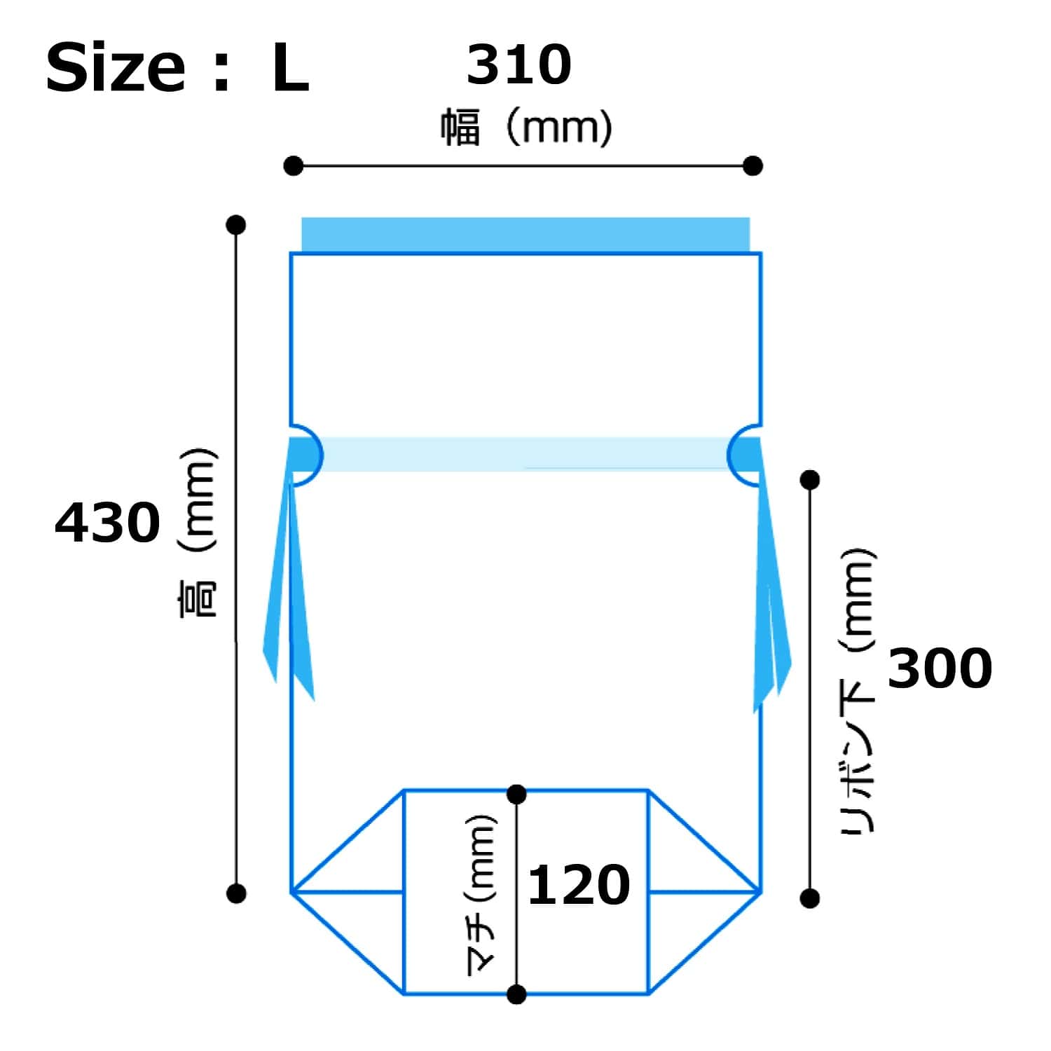 (3)31×43[30]×底マチ12cm