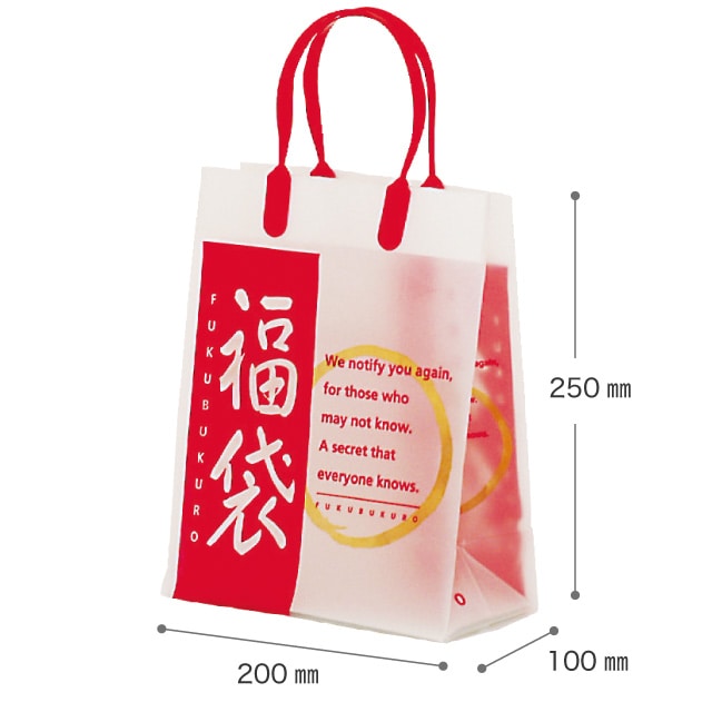 (1)20×10×25cm 10枚