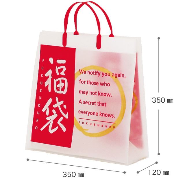 (2)35×12×35cm 10枚