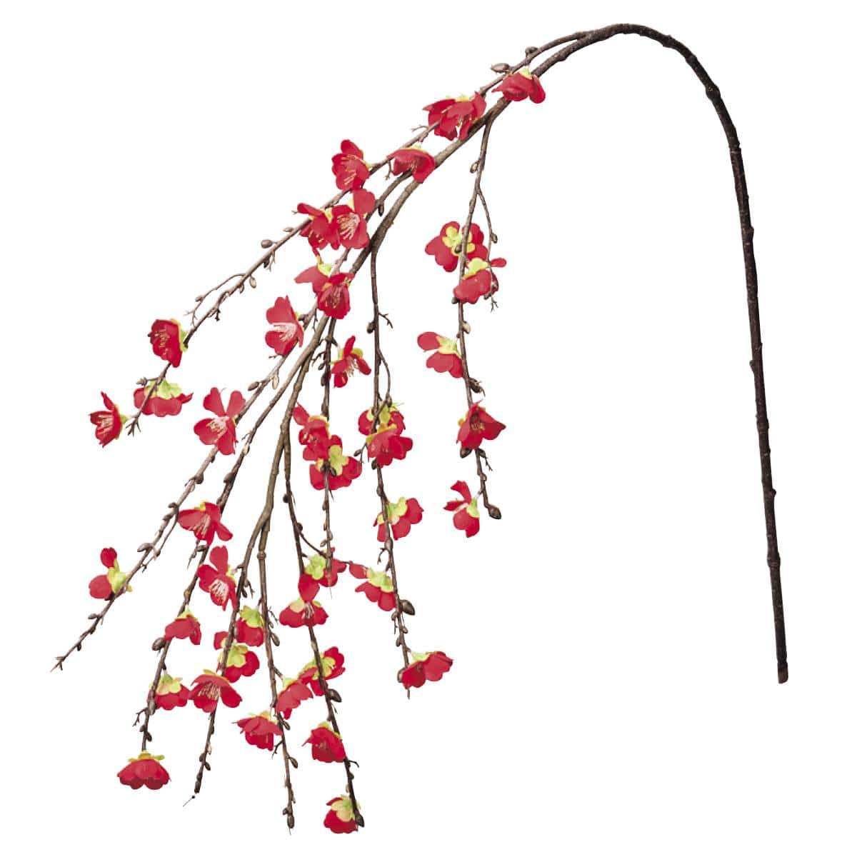 梅枝しだれ125cm