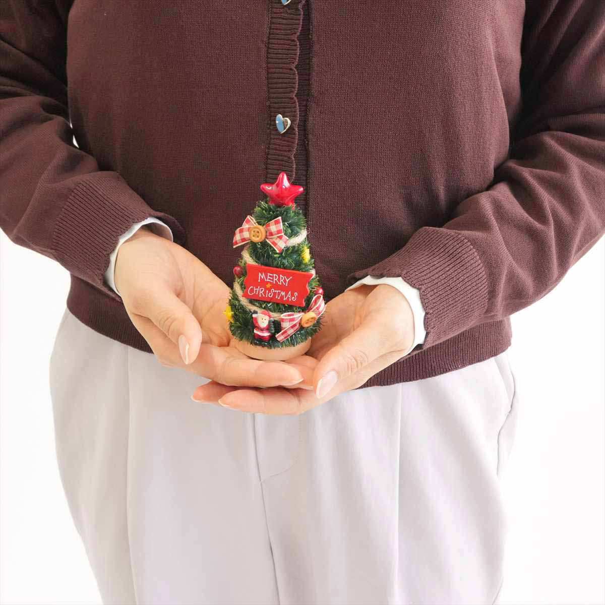 (1)サンタレッド