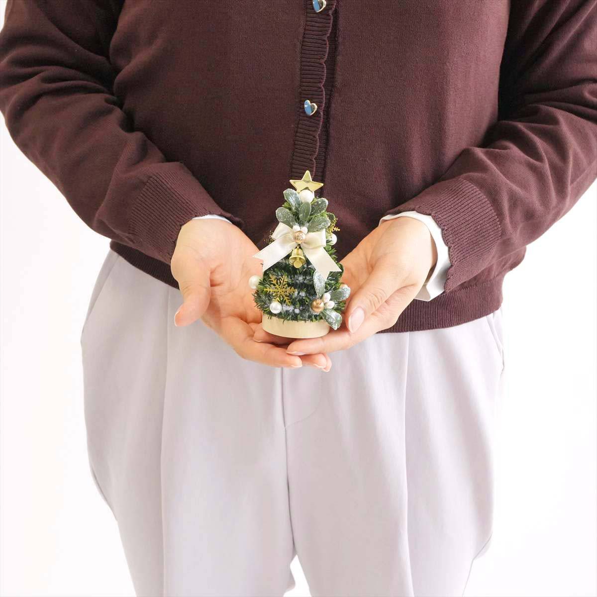 (3)アイボリーリボン