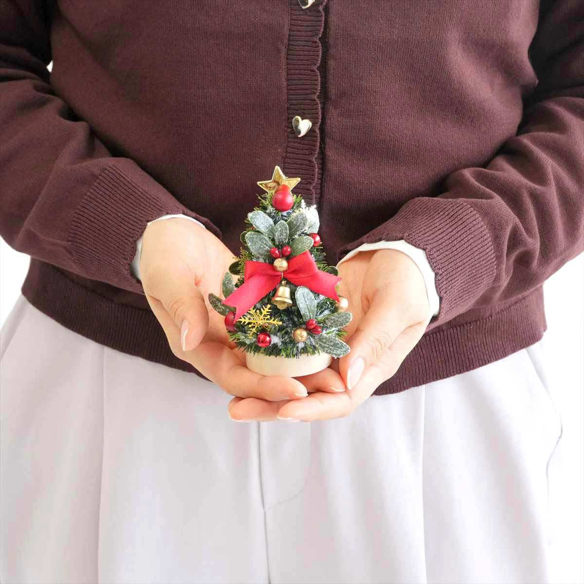 (4)レッドリボン