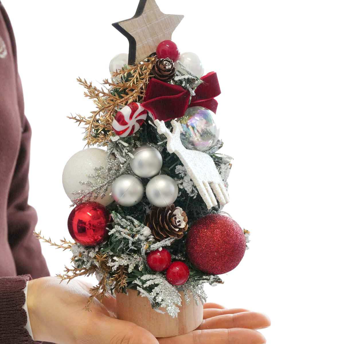 (2)ホワイトトナカイ