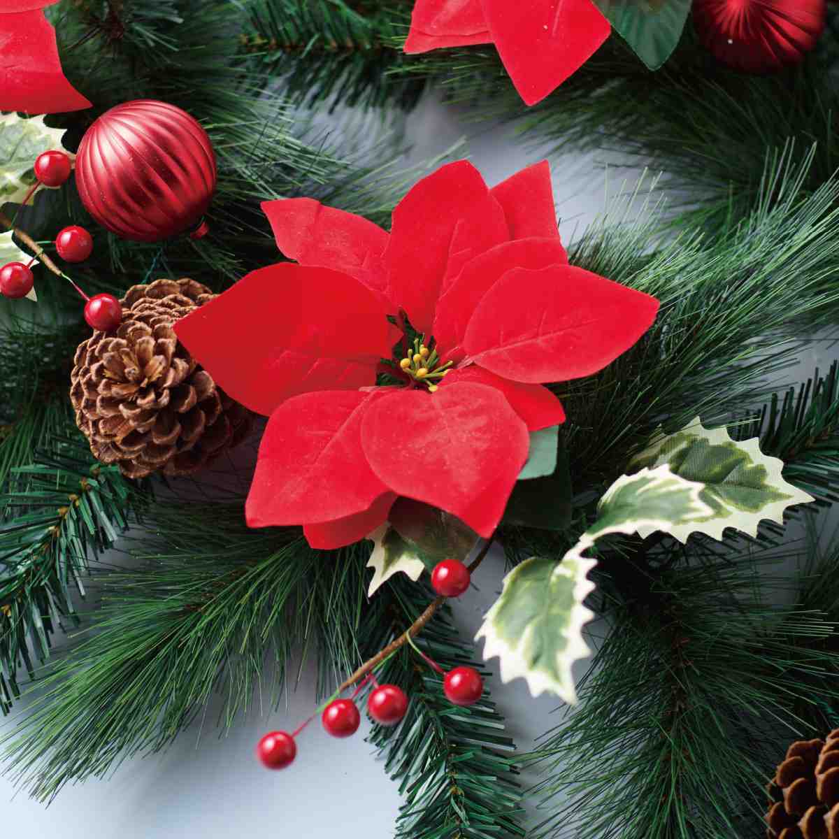(1)ポインセチア 部分アップ