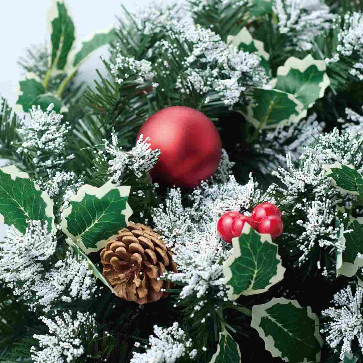 (2)スノー 部分アップ