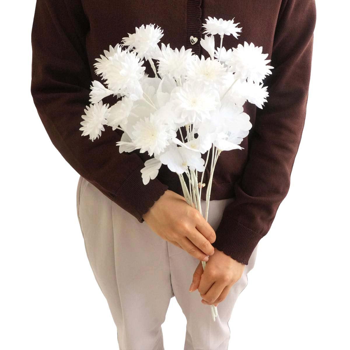 (2)ヤグルマソウ