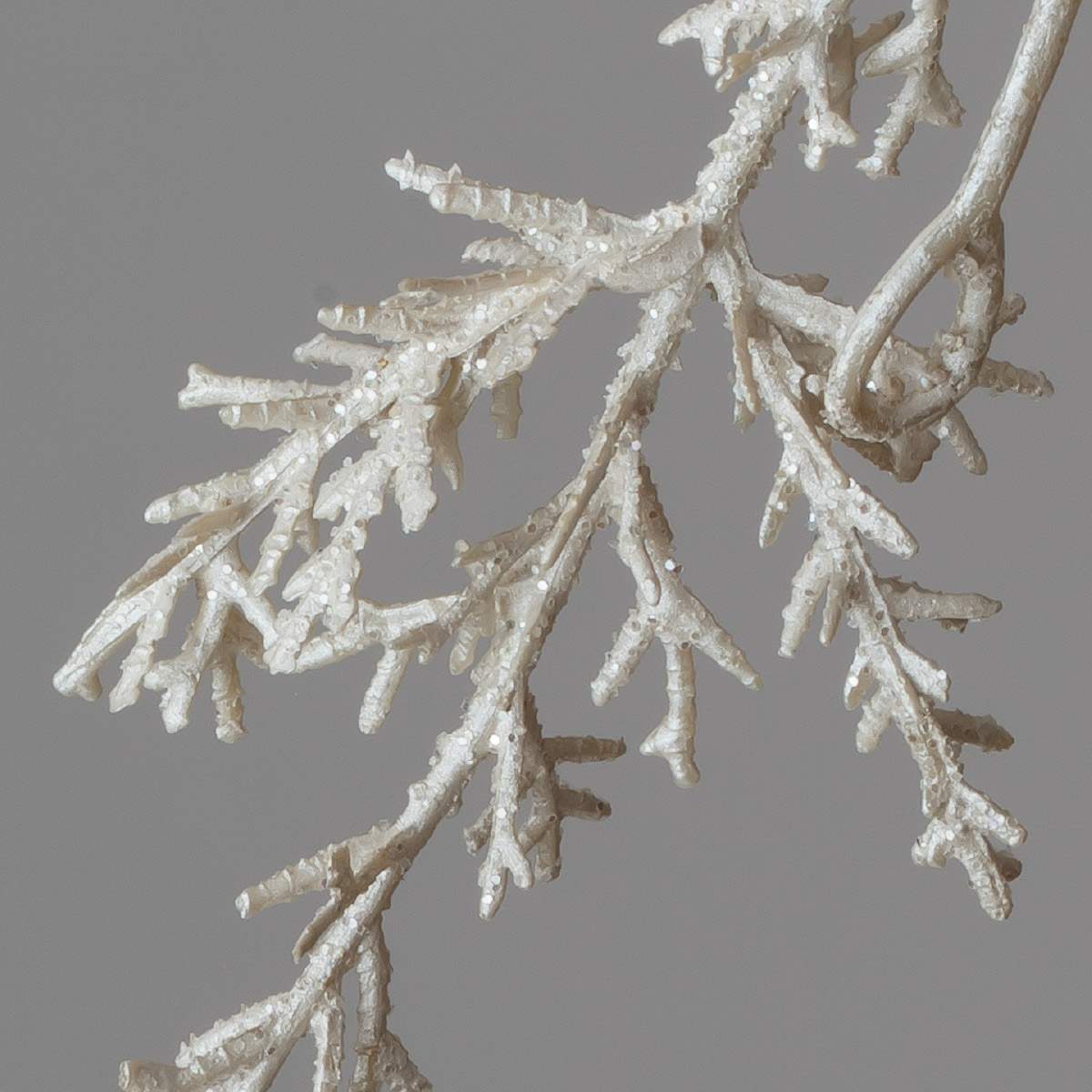 (2)パール 部分アップ