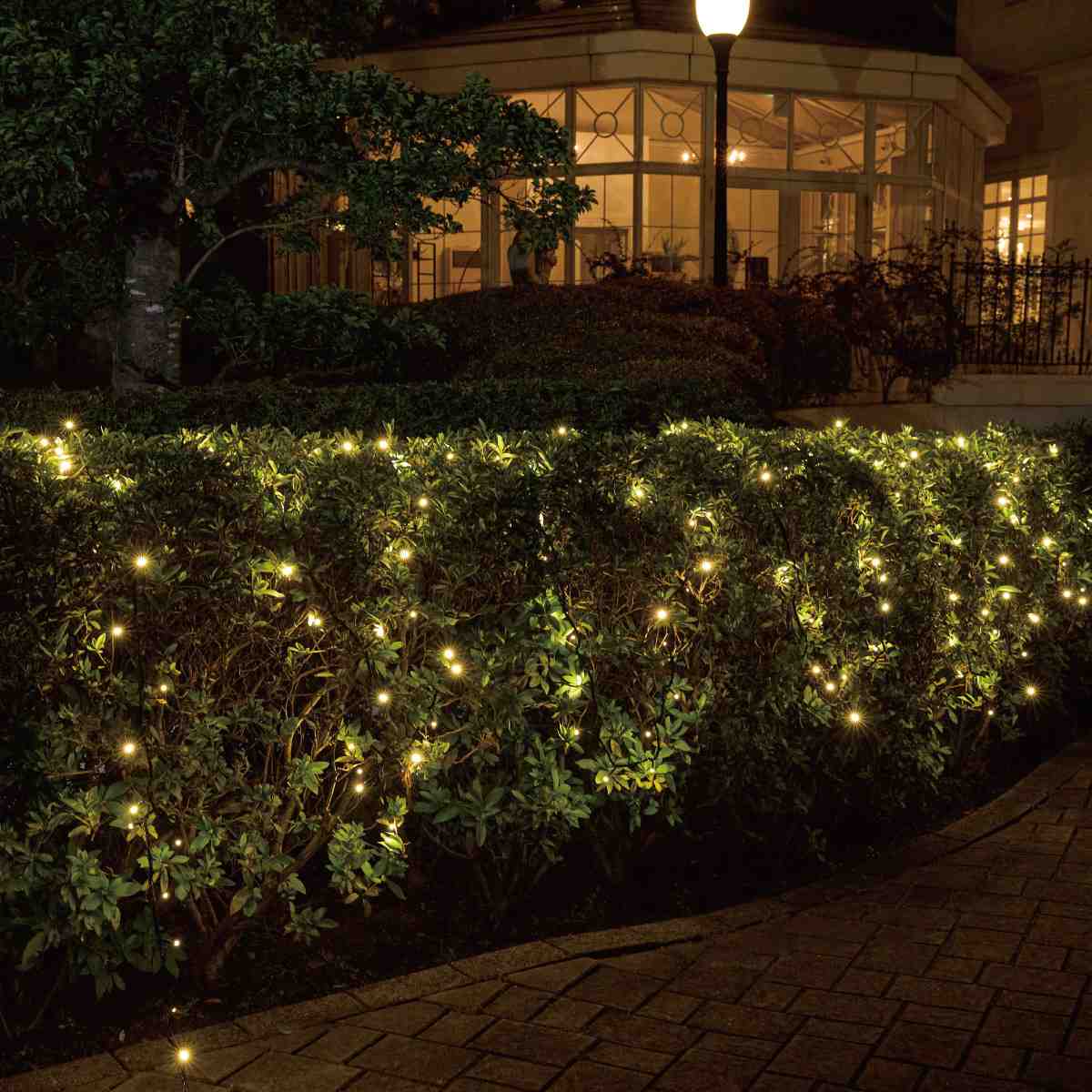 (3)ゴールド ×2使用例