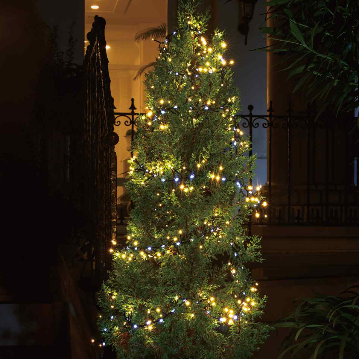 (3)ゴールド 使用例