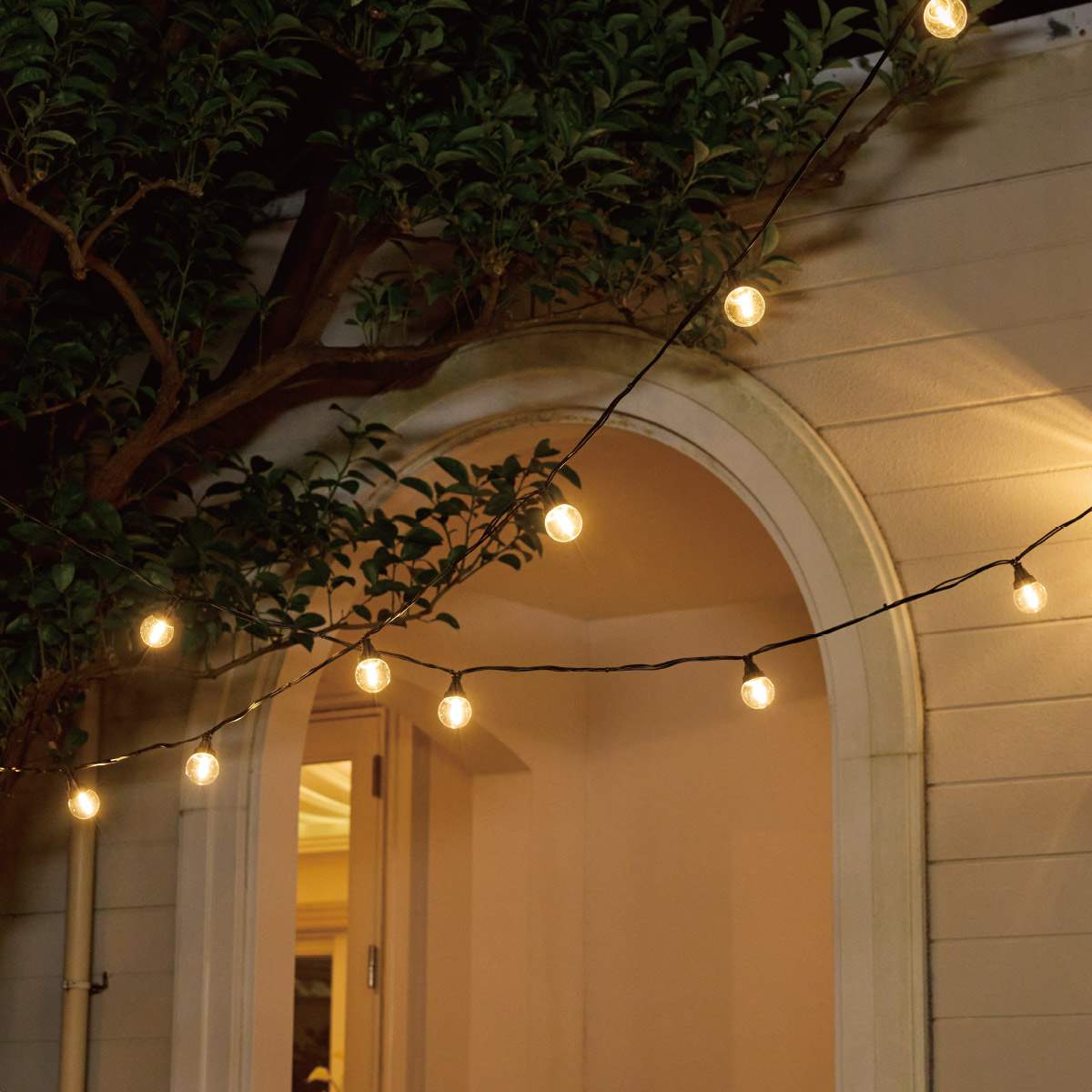 (1)ゴールド ×2使用例