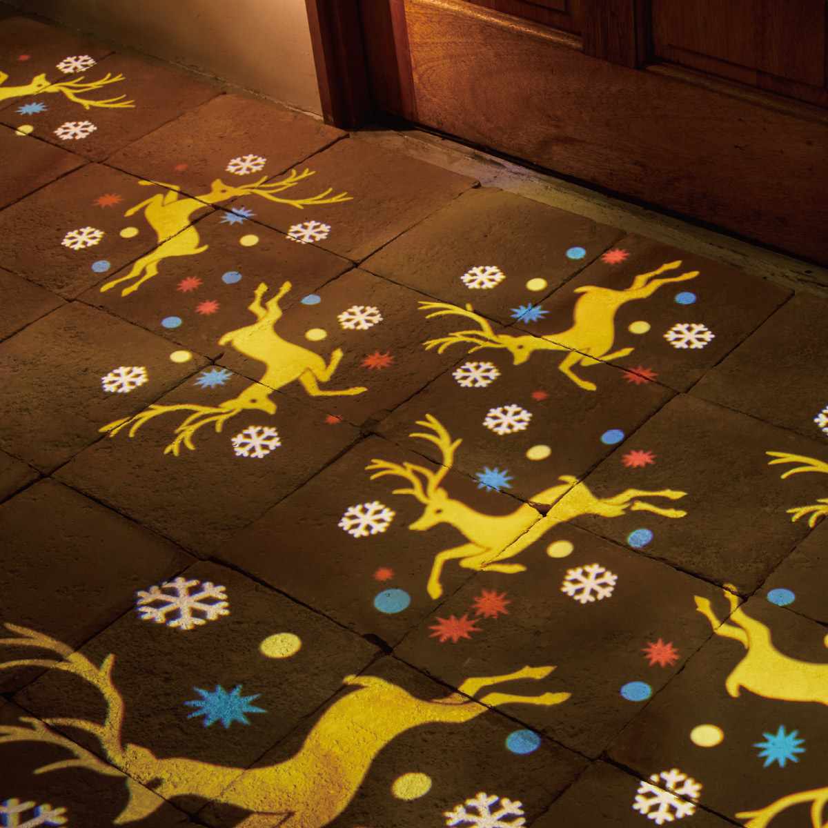 (2)レインディア 使用例