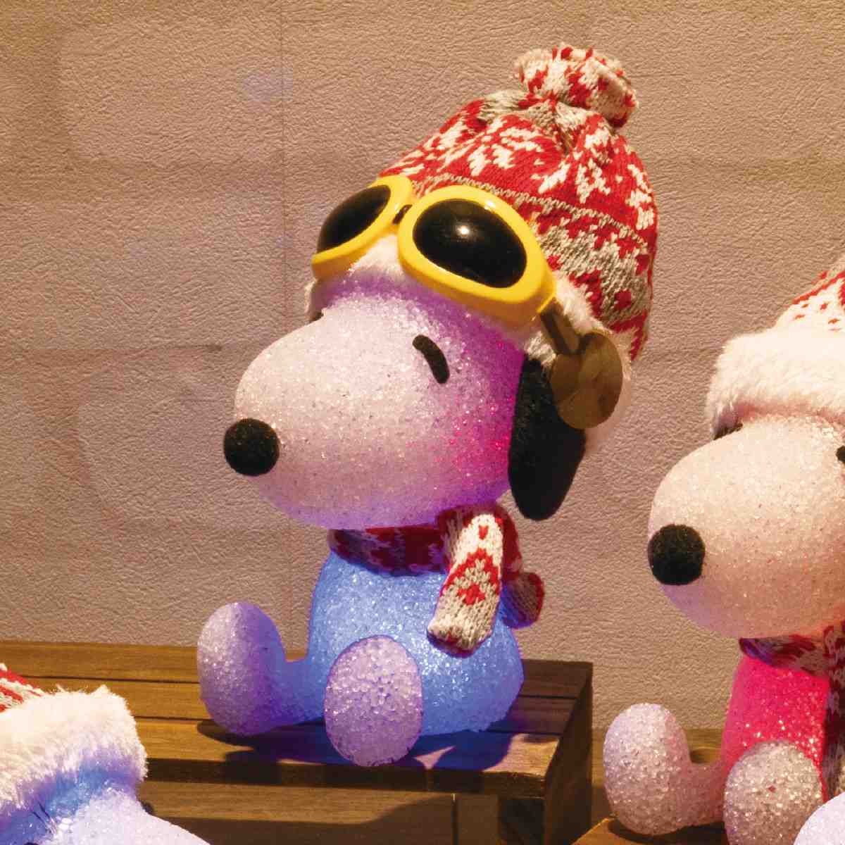 (5)ゴーグルレッド