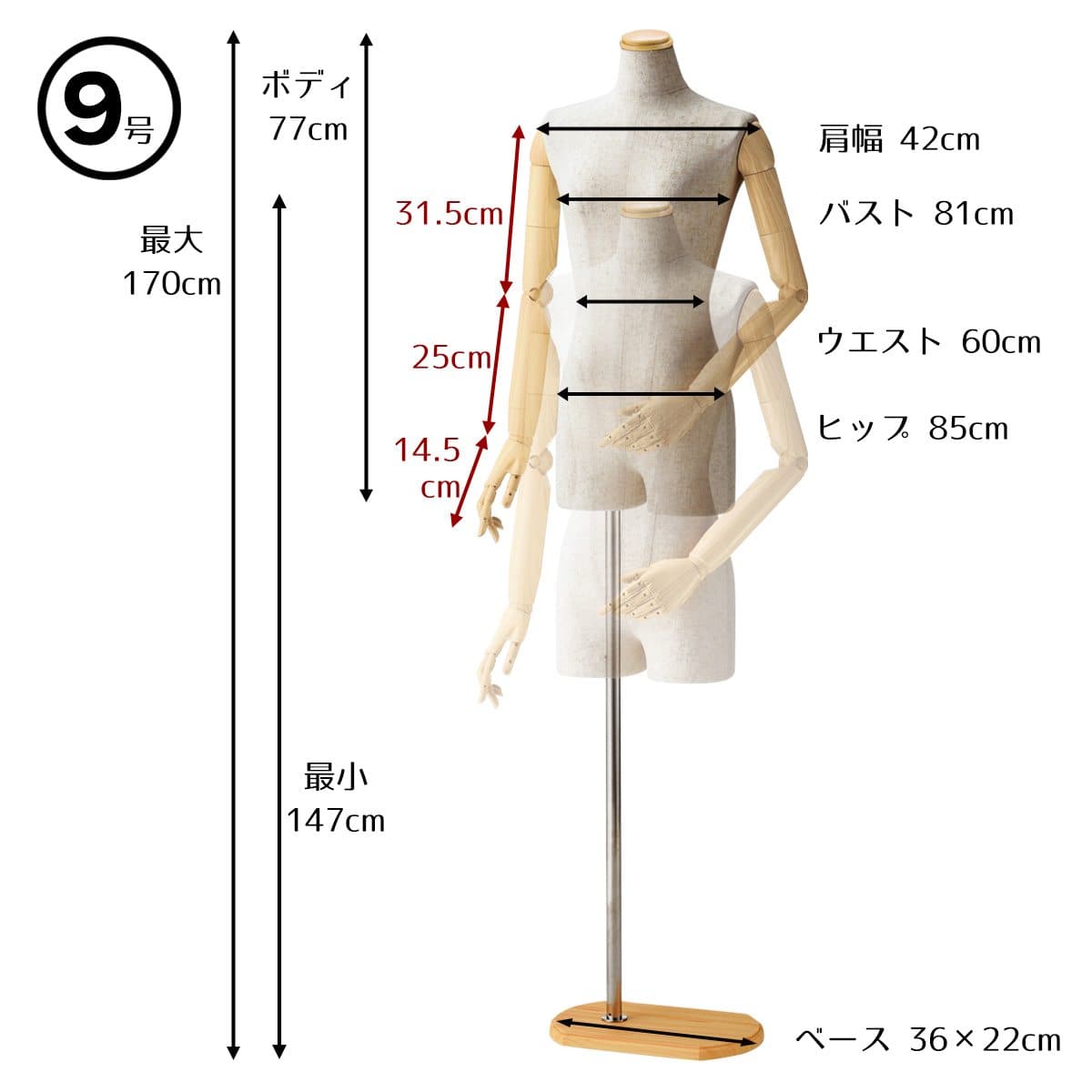 婦人腕付き芯地張トルソー〔ストエキオリジナル〕 9号 スチールベース