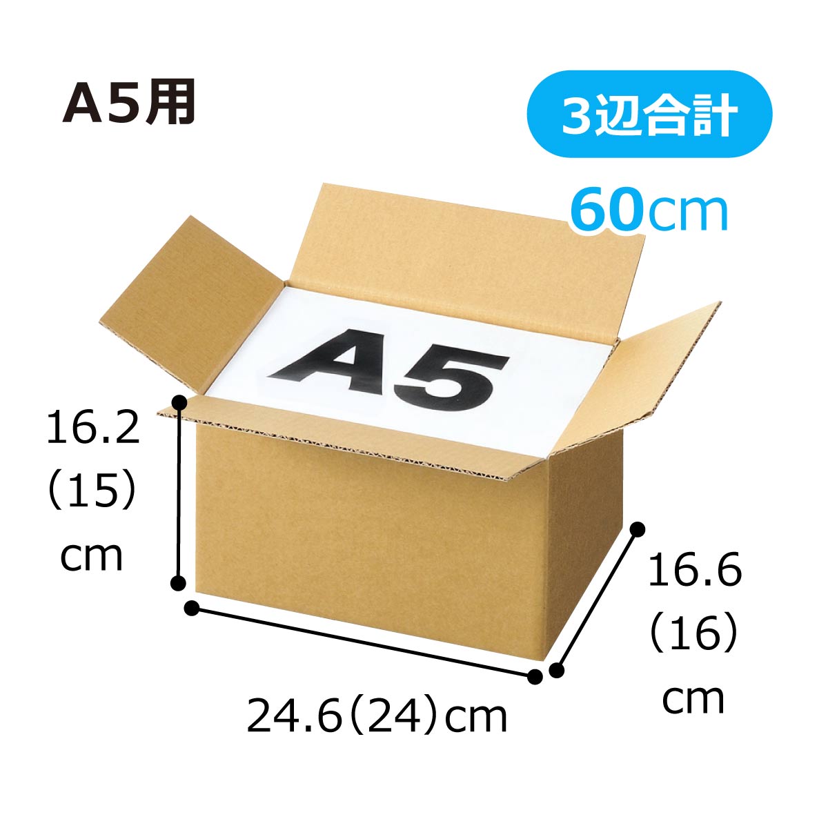 (15)24.6×16.6×16.2cm 30枚