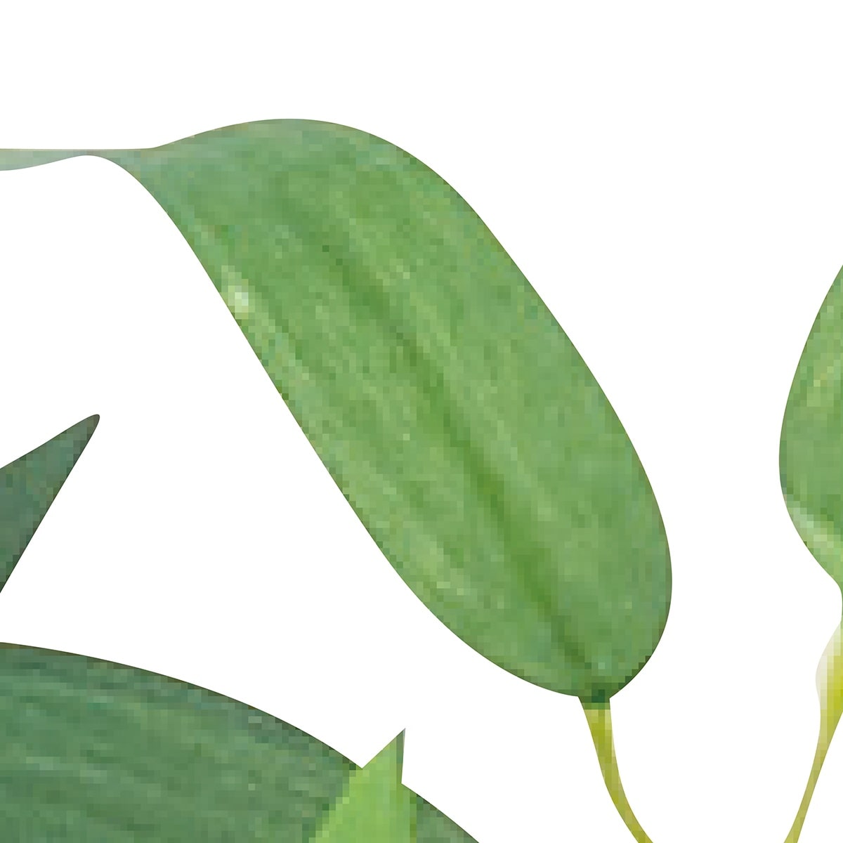 バンブー(フェイクグリーン)〔ストエキオリジナル〕