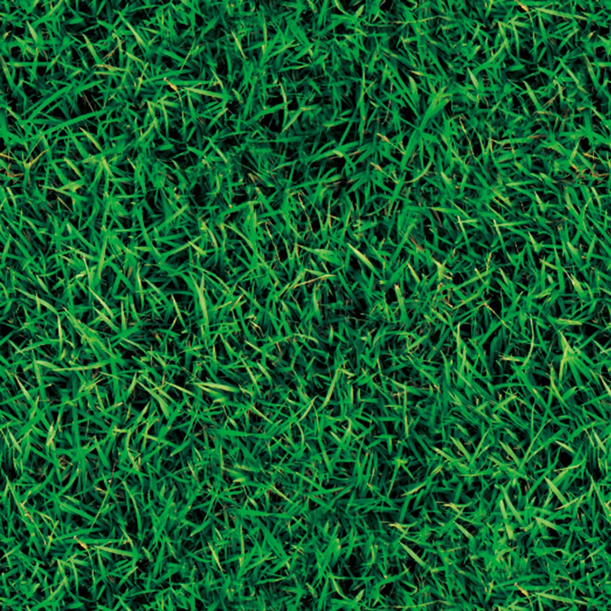 (1)ディープグリーン