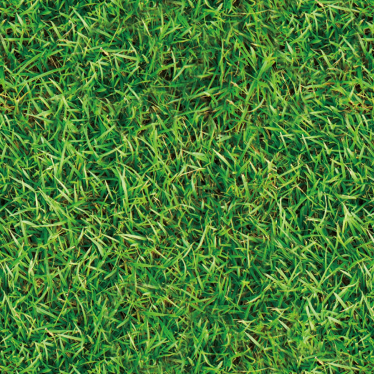 (2)ペールグリーン