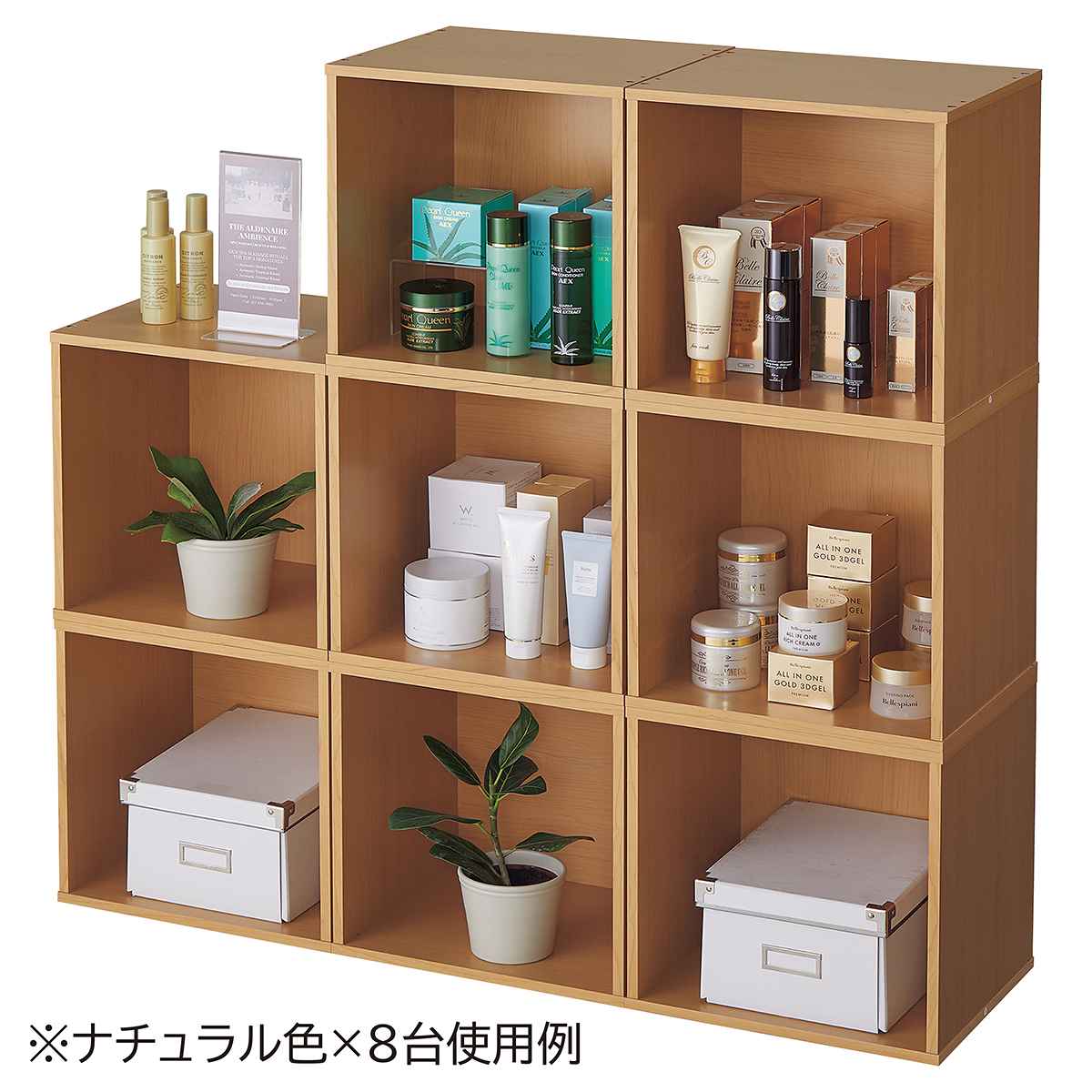 (1)オープン