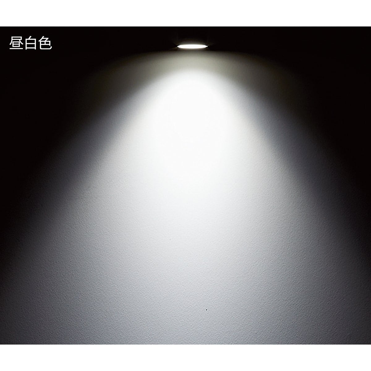 (2)昼白色 ブラック