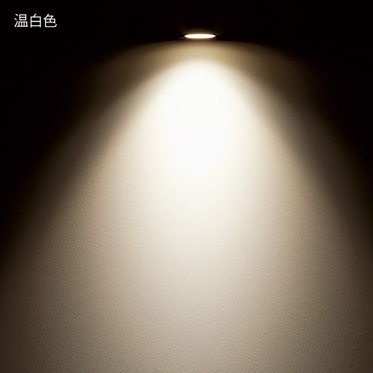 (3)温白色 ホワイト