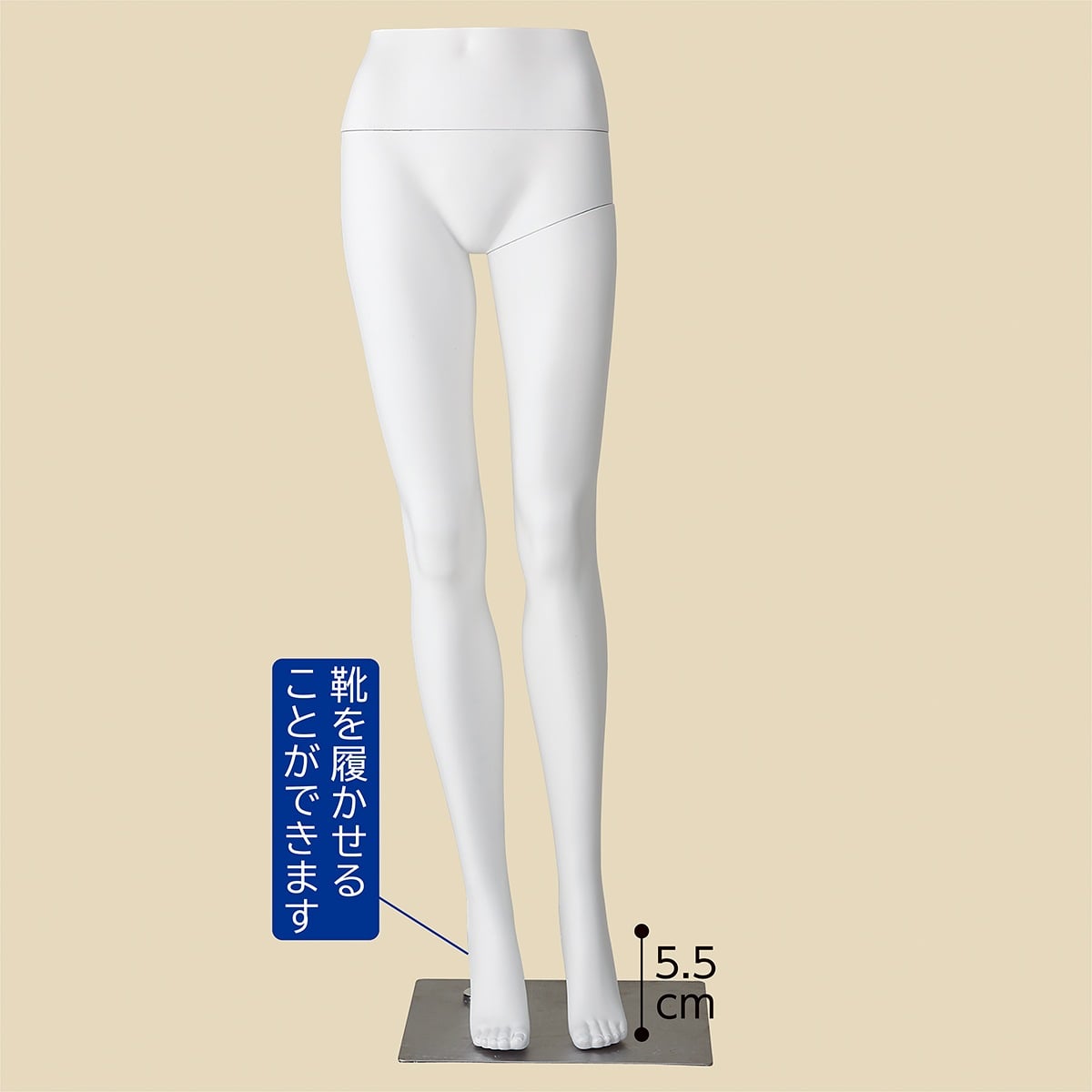 PP製 婦人パンツトルソー〔ストエキオリジナル〕