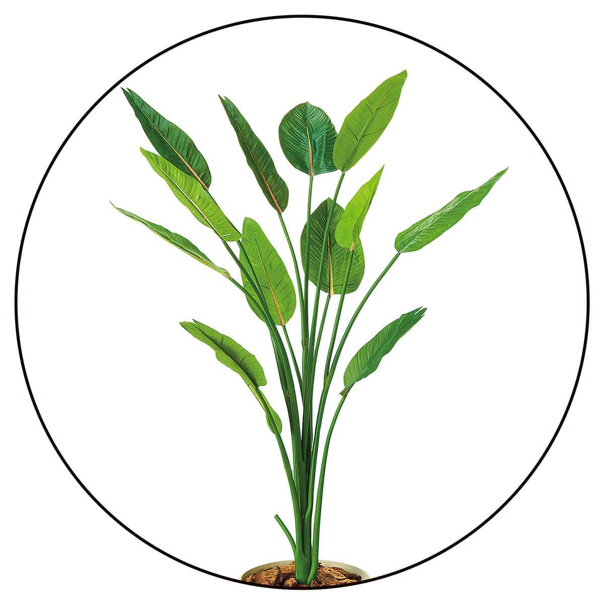 人工樹木 高さ160cm ストレチア