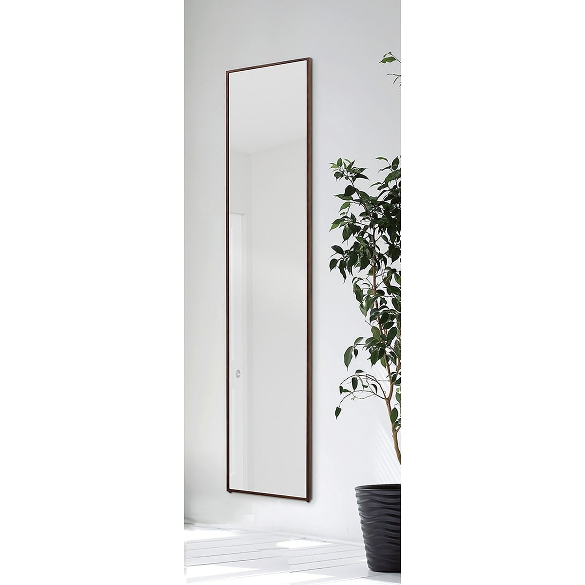 (1)ブラウン 使用例