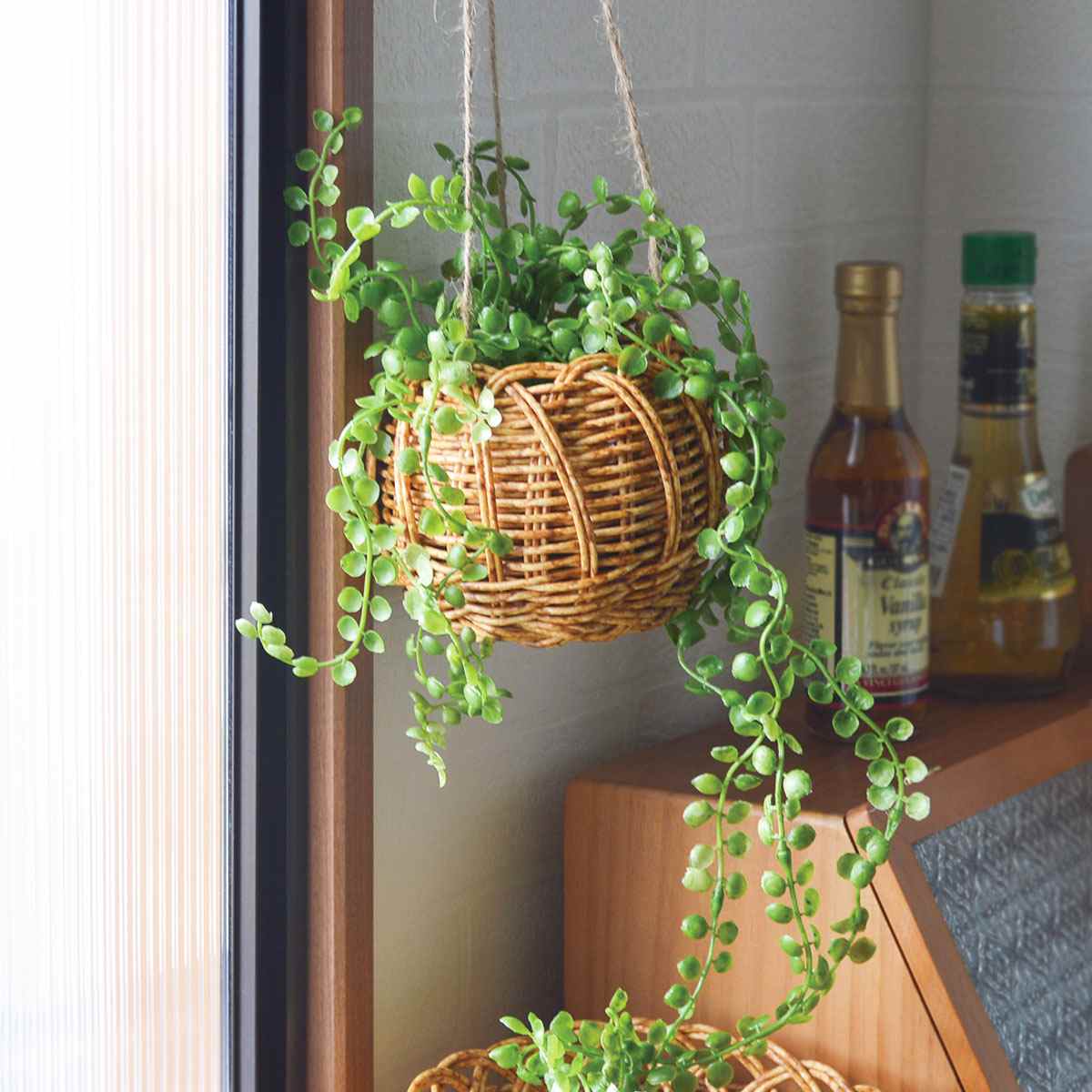 (1)ビーンバイン