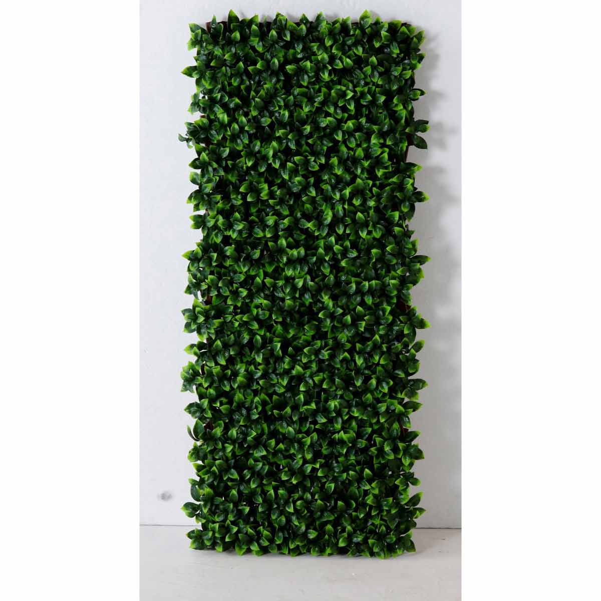 (1)ダークグリーン