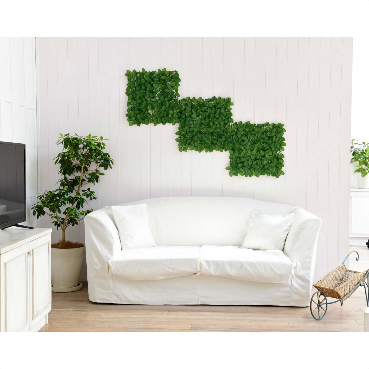 (1)フェイジョアリーフ 使用例