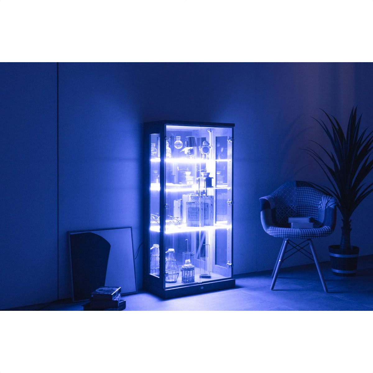 (7)ロータイプ用 ブルーLEDダウンライト横型棚ガラス取付タイプ 使用例