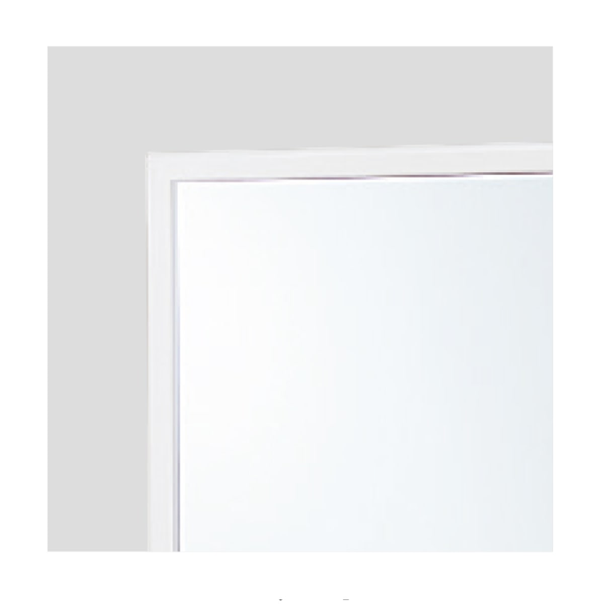 (2)ホワイト アップ