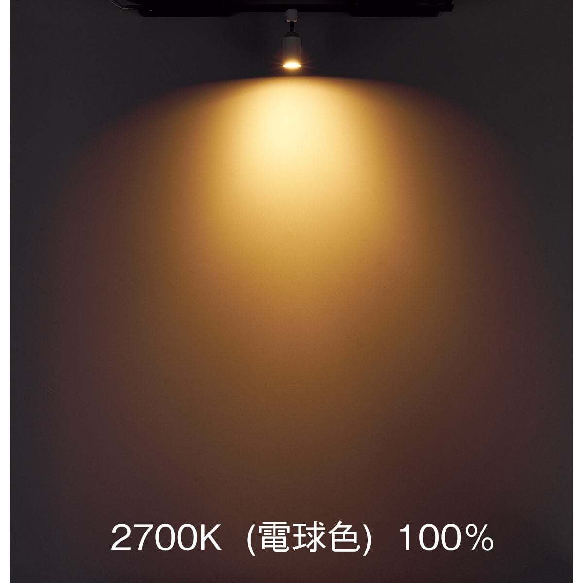 調光調色スマートスポットライト〔ストエキオリジナル〕 本体[リモコン付き]