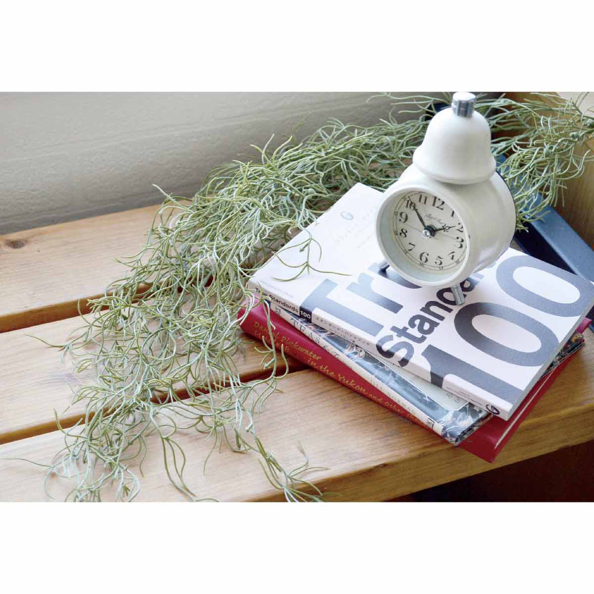 (1)スパニッシュモス