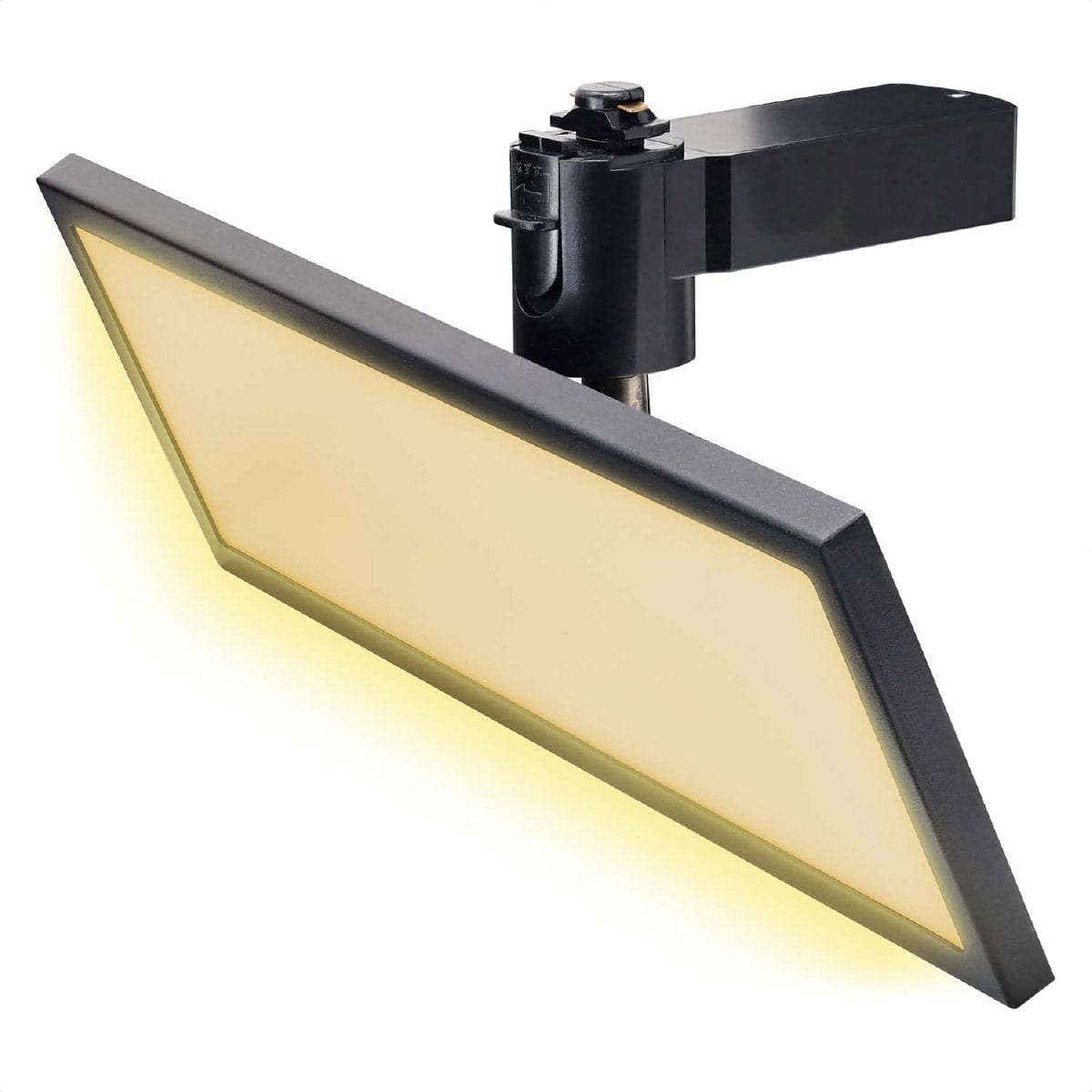 (4)電球色 ブラック