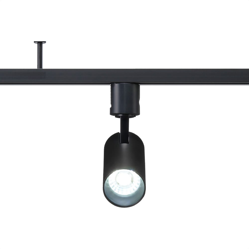 (2)昼光色ブラック